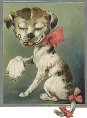 En sød hund fra 1905